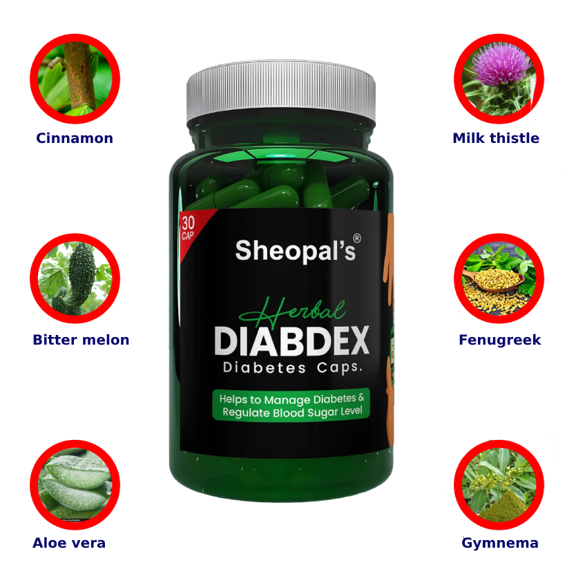 Herbal Diabetes CapsulesProduct image.